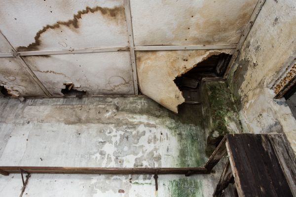 Cost of Water Damage Service in El Cajon