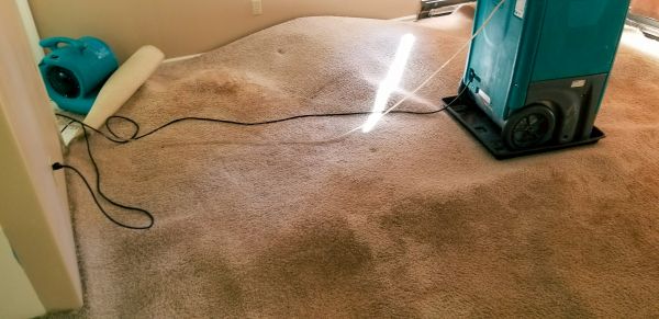 Cost of Flood Damage Cleanup in El Cajon