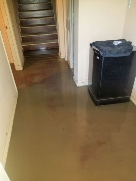 Cost of Emergency Water Removal in El Cajon